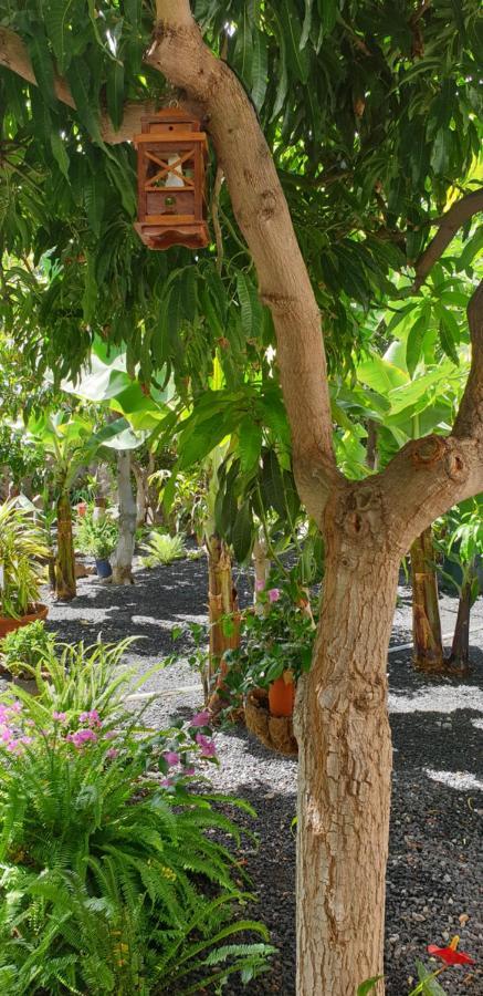 Finca Borbolan Y La Roseta Valle Gran Rey Εξωτερικό φωτογραφία